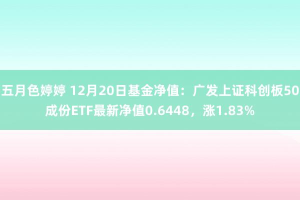 五月色婷婷 12月20日基金净值：广发上证科创板50成份ETF最新净值0.6448，涨1.83%