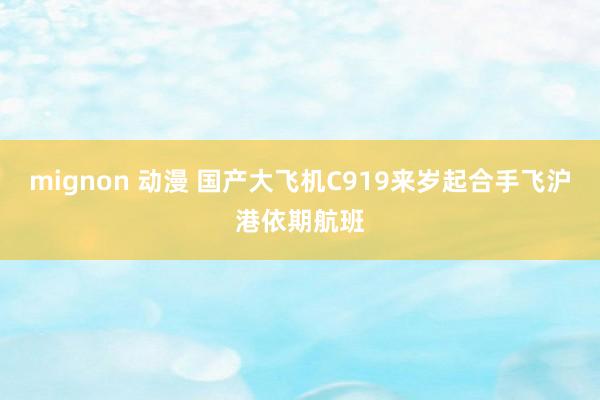 mignon 动漫 国产大飞机C919来岁起合手飞沪港依期航班