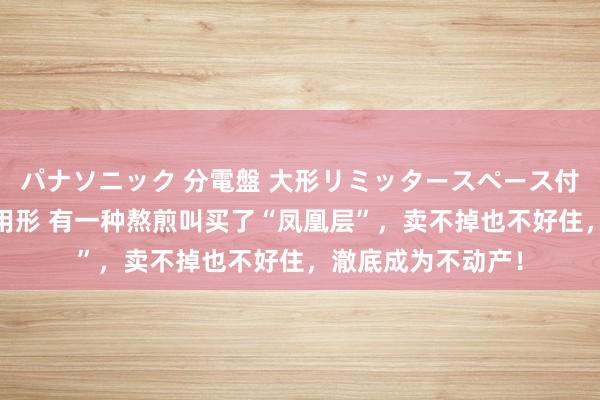 パナソニック 分電盤 大形リミッタースペース付 露出・半埋込両用形 有一种熬煎叫买了“凤凰层”，卖不掉也不好住，澈底成为不动产！