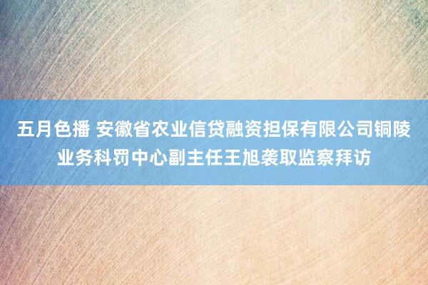 五月色播 安徽省农业信贷融资担保有限公司铜陵业务科罚中心副主任王旭袭取监察拜访