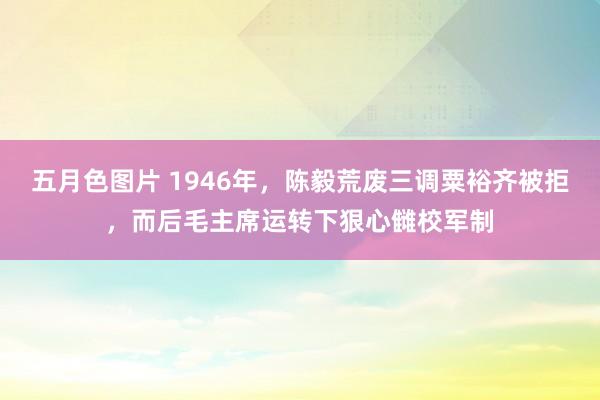 五月色图片 1946年，陈毅荒废三调粟裕齐被拒，而后毛主席运转下狠心雠校军制