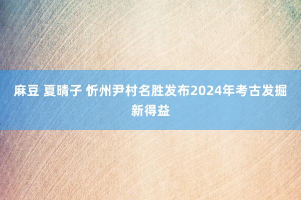 麻豆 夏晴子 忻州尹村名胜发布2024年考古发掘新得益