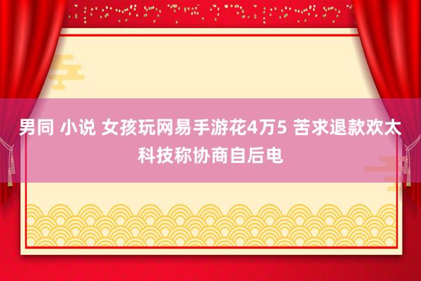 男同 小说 女孩玩网易手游花4万5 苦求退款欢太科技称协商自后电