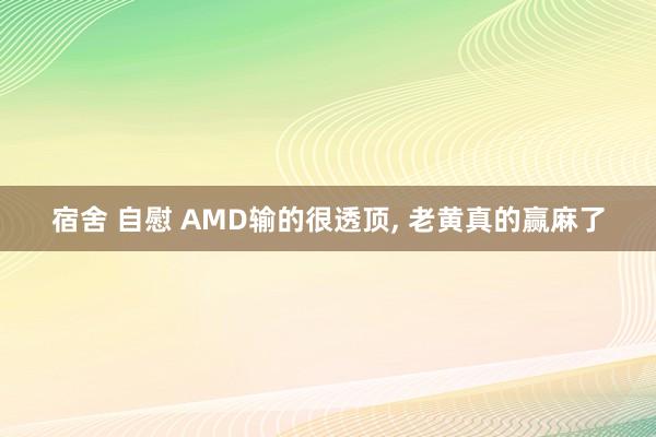 宿舍 自慰 AMD输的很透顶， 老黄真的赢麻了