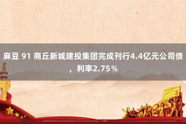 麻豆 91 商丘新城建投集团完成刊行4.4亿元公司债，利率2.75％