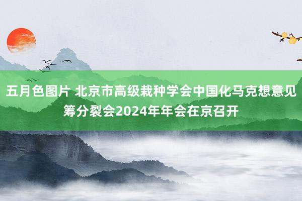 五月色图片 北京市高级栽种学会中国化马克想意见筹分裂会2024年年会在京召开