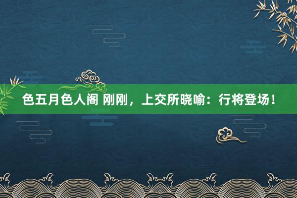 色五月色人阁 刚刚，上交所晓喻：行将登场！