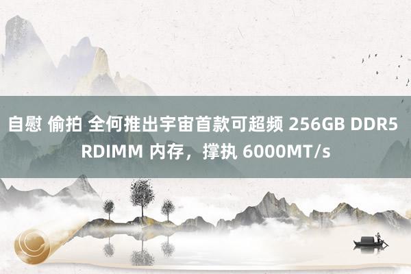 自慰 偷拍 全何推出宇宙首款可超频 256GB DDR5 RDIMM 内存，撑执 6000MT/s