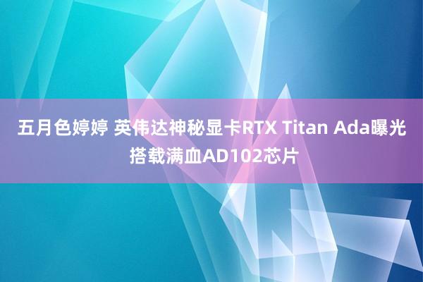 五月色婷婷 英伟达神秘显卡RTX Titan Ada曝光 搭载满血AD102芯片