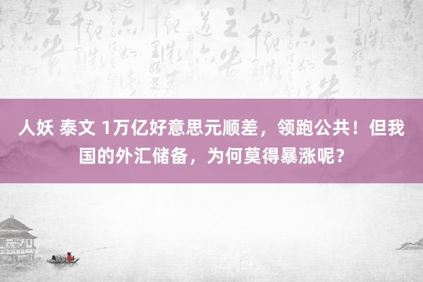 人妖 泰文 1万亿好意思元顺差，领跑公共！但我国的外汇储备，为何莫得暴涨呢？