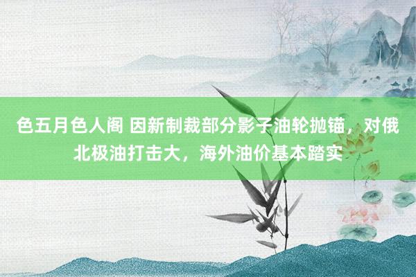 色五月色人阁 因新制裁部分影子油轮抛锚，对俄北极油打击大，海外油价基本踏实